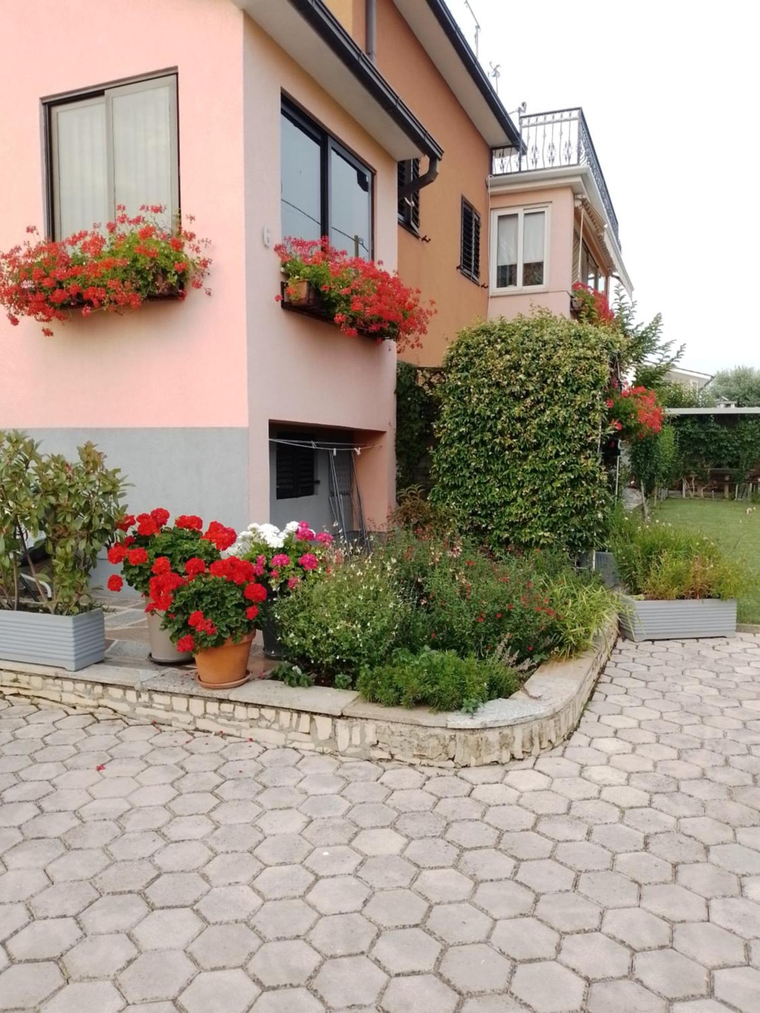Apartman Olga Umag Exteriér fotografie