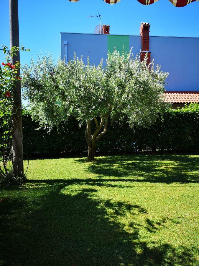 Apartman Olga Umag Exteriér fotografie